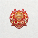 LNG战队标志 - 麒麟图腾