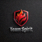 Team Spirit战队标志