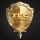TES战队标志 - 金色骑士盾